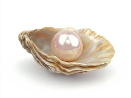 Beautiful pearl nestled in a seashell on a white background photo