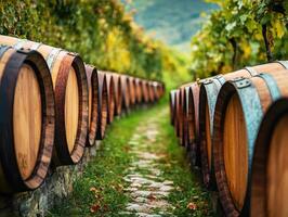Rows of wooden barrels among lush vineyards in a serene landscape photo
