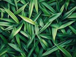 Lush green leaves creating a vibrant natural texture backdrop photo