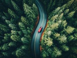 Red vehicle drives along winding road through dense forest photo