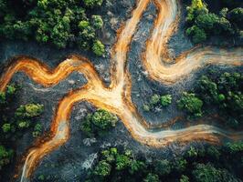 Winding dirt road through a deforested area surrounded by greenery photo