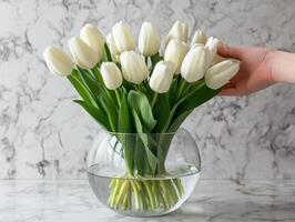 White tulips arranged in a glass vase on a marble surface photo