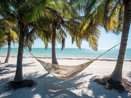 Relaxing hammock between palm trees on a sunny beach photo