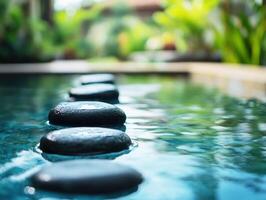 Serene garden path with stones leading over water photo