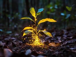 Magical plant growth in a vibrant forest setting at twilight photo