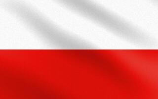 Flag of Poland with paper texture and light vector