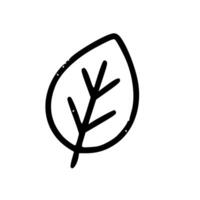 Outline Handdrawn Leaf Nature Icon Shape Element vector
