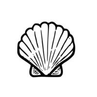 Outline Handdrawn Seashell Nature Icon, Suitable for Nautical and Marine Design Element vector