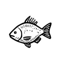 Outline Hand-drawn Fish Illustration Isolated on White Background Icon Design vector