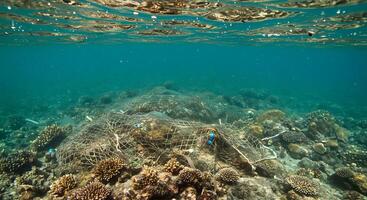 A coral reef with a net and a fish photo
