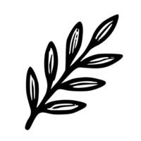 Simple Handdrawn Leaf Branch Outline Minimalist Botanical Illustration Element vector