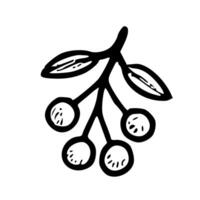 Handdrawn Simple Berry Branch with Leaves Outline Style Icon Element vector