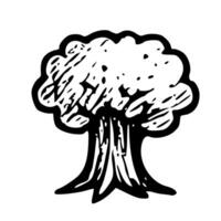 Handdrawn Outlined Forest Tree with Leaf and Trunk Illustration Symbol vector