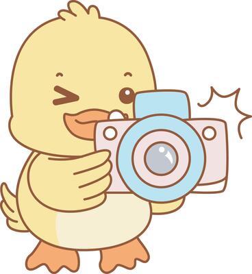 Baby duck click the camera. Cute Duck icon. Funny baby Duck animal series stock illustration. life of fluffy Duck designs.