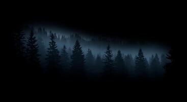 Dark forest with trees and fog photo