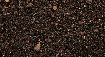 A close up of soil with rocks and dirt photo