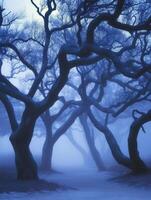 Mystic Blue Foggy Forest Path Twisted Trees Nature Scene dark mist haze cold calm moody twigs woods photo