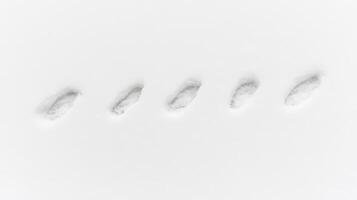 Five Small Snow Prints on White Background Winter Scene Photography art ice cold path foot grey view photo