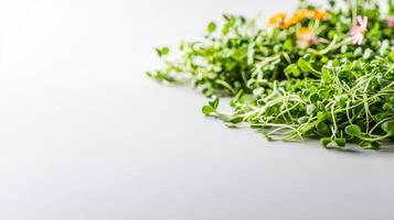 Fresh vibrant green microgreens and edible flowers lie on a bright white background providing a healthy and nutritious food image perfect for recipes or blogs. photo