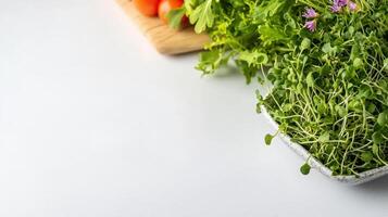 Fresh vibrant microgreens in a small bowl sit alongside cherry tomatoes and leafy greens on a white background providing ample copy space for healthy food recipes or blog. photo