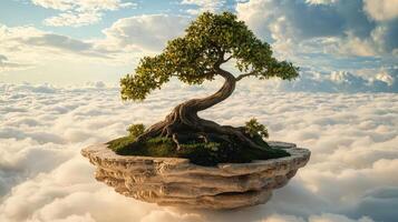 A tree growing on top of a rock floating in the clouds photo