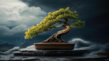 Bonsai tree on rock with stormy sky background photo