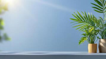 Three potted plants on a table with a bright blue sky photo