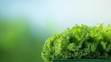 A close up of a green leafy vegetable in a container photo