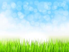 Summer background with green grass and blue sky, gradient mesh vector
