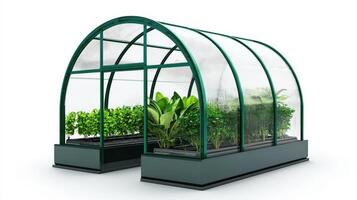 Greenhouse with plants on a white background photo
