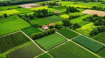 An aerial view of a farm and fields photo