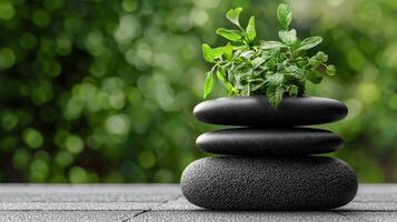 A stack of black stones with a plant on top photo