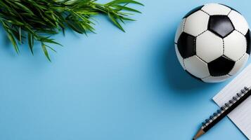 Soccer ball, notebook, pen and plant on blue background photo