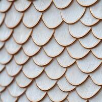 A close up of a white wall with a fish scale pattern photo