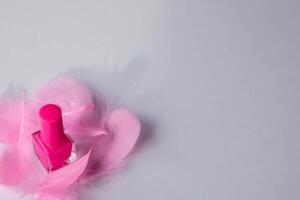 Pink nail polish with decorative elements of multi-colored feathers on white background.Copy space. Top view photo.High quality photo