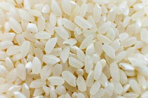 Close-up macro shot of white polished rice in shallow depth of field. Macro raw grain in soft focus photo