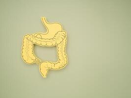 Intestine symbol made from paper on a green background photo