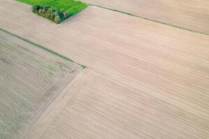 drone aerial view of plowed crop fields in spring, agricultural background concept photo
