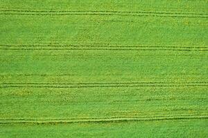 zenithal drone view of agricultural fields in spring, textured background for agriculture concept photo