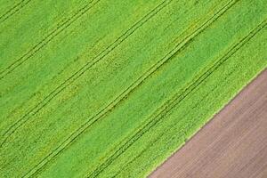 aerial top down view of agricultural fields in spring, background for agriculture concept photo