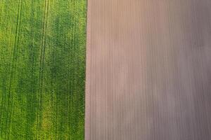 agricultural landscape from above with distinct textures, aerial top down view. Agricultural concept background photo