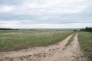 Two winding dirt roads converge and diverge, leading to a picturesque green meadow dotted with trees and shrubs under a cloudy sky, creating a serene and attractive natural landscape scene photo
