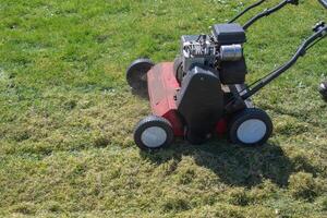 After frosts, the Gardener regularly Scarify the lawn from moss and tall grass, and combs it to saturate it with air for further growth, photo