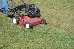 Gardener uses scarifier to remove moss from a lawn, improving its health and appearance, Seasonal gardening on a bright sunny spring day, copy space photo