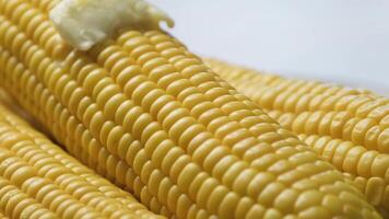 Close-up of Fresh Yellow Corn Cobs with Melting Butter in Bright Minimalist Kitchen Setting video