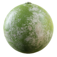 Moldy Lime Texture 3D Model on transparent background png