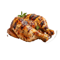 Delicious grilled chicken with herbs for food menu and restaurant use isolated on transparent background png