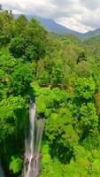 Cinematic FPV drone dive near cascading waters of Sekumpul Waterfall, surrounded by lush green jungle in Bali, Indonesia. Ideal for nature, travel, and tropical adventure themes. video