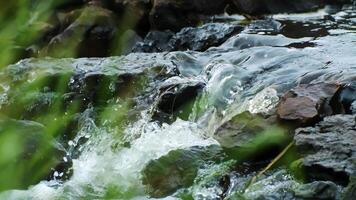 Close-up of fresh flowing water over rugged dark rocks in serene natural outdoor stream environment video