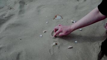 Close-up of hand drawing a heart shape on sandy beach surrounded by seashells in serene coastal environment video